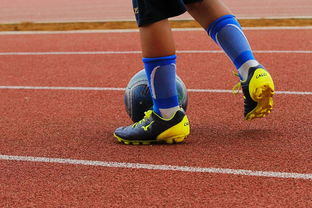 开云体育网页版入口-篮球运动员心理健康支持体系构建，篮球运动员心理健康支持体系构建方案