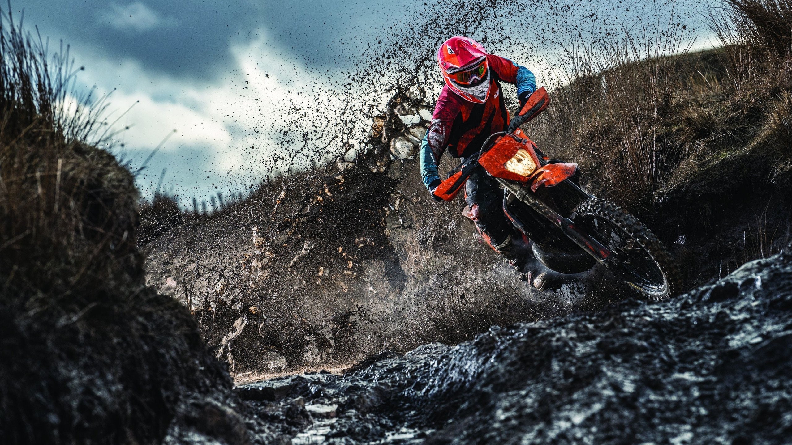 开云电竞登录-战队青训体系助力新星成长，职业战队青训营